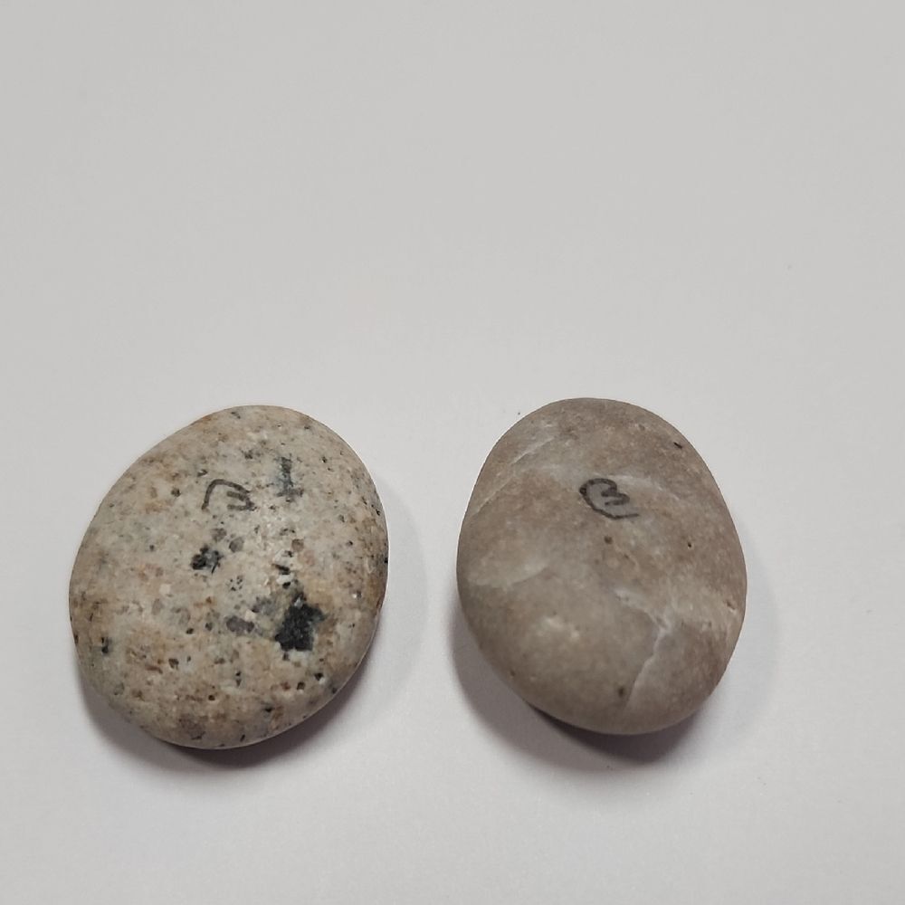 Signed Painted Pebble Art - Picture 2 of 3